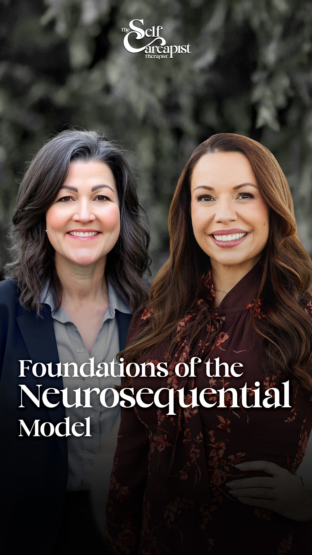 "Brain illustration showing sequential development with text 'Understanding the Neuro-Sequential Model for Trauma Treatment in Arizona and Texas